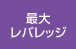 最大レバレッジ