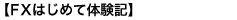 ＦＸはじめて体験記
