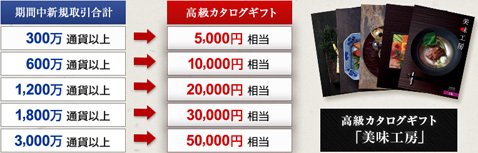 高級カタログギフトキャンペーンの条件