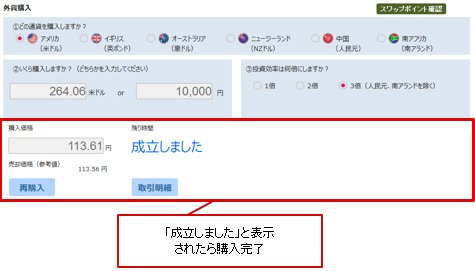 SBI FXトレード「レバレッジ付き定期外貨取引」取引画面