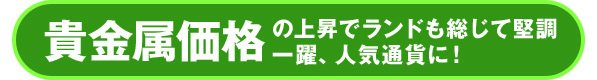 南アフリカランド(ZAR)