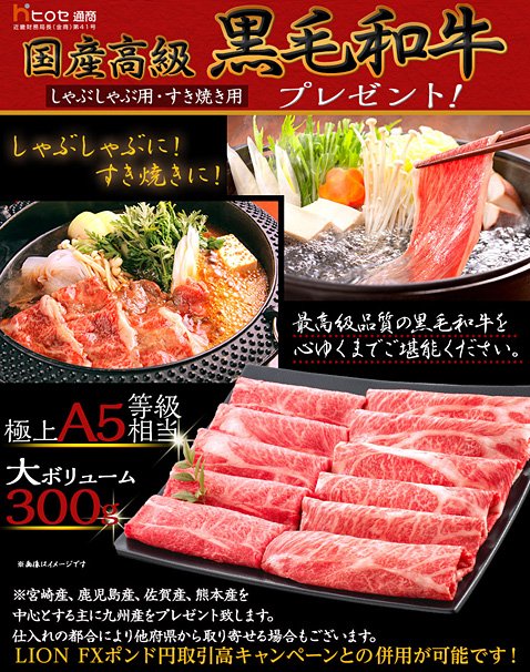 ヒロセ通商の国産高級黒毛和牛300gプレゼントキャンペーン
