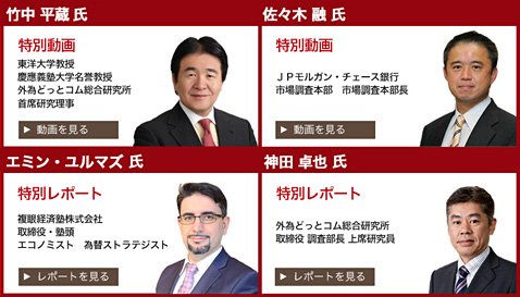 外為どっとコムの特設サイト「-緊急取材- トルコリラ急変」の識者