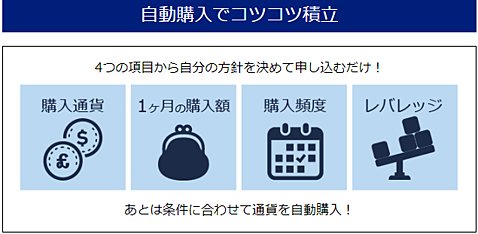 定期購入選択項目