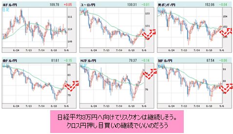 世界の通貨VS円 日足チャート