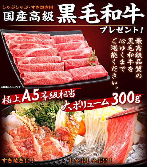 ヒロセ通商の「国産高級黒毛和牛300gプレゼント!」キャンペーン