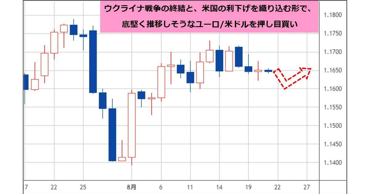 ベトナム戦争まとめ売り130点(2)取り置き 図解】ベトナム戦争 - Shinkigensha Web