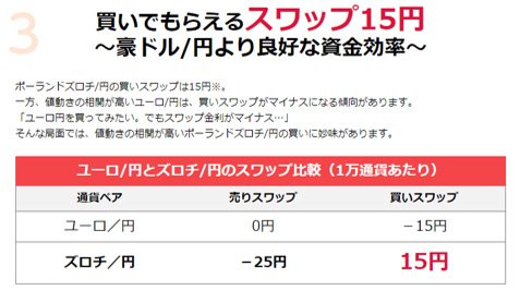 ポーランドズロチ3つ目の特徴画像