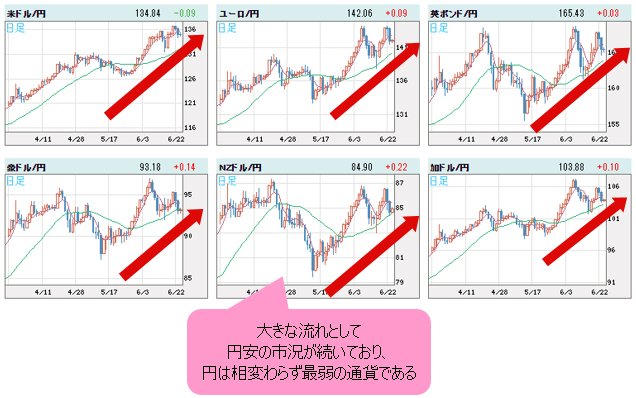 世界の通貨VS円 日足チャート