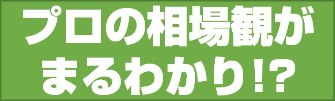 プロの相場観がまるわかり!?
