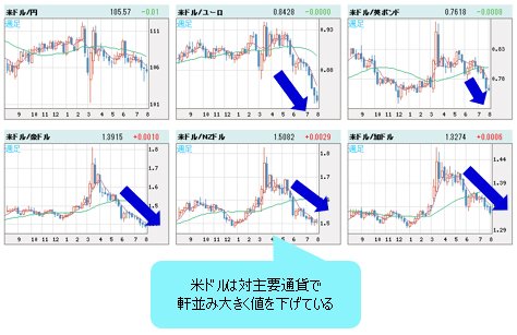 米ドルVS世界の通貨 週足チャート