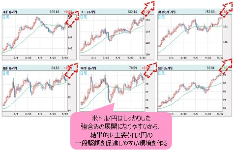 世界の通貨VS円 日足チャート