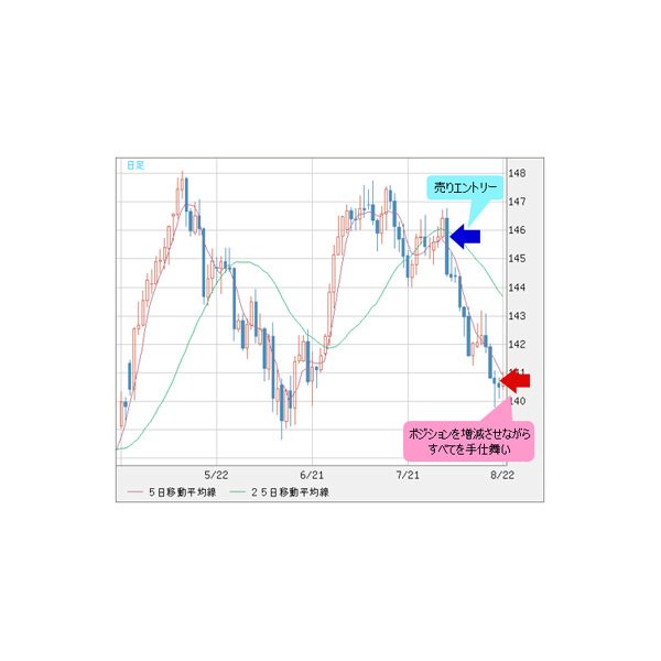 アイウォレット・iWallet|ラッキーニッキー|徹底解説|登録|入 アイウォレット・iWallet|ラッキーニッキー|徹底解説|登録|入