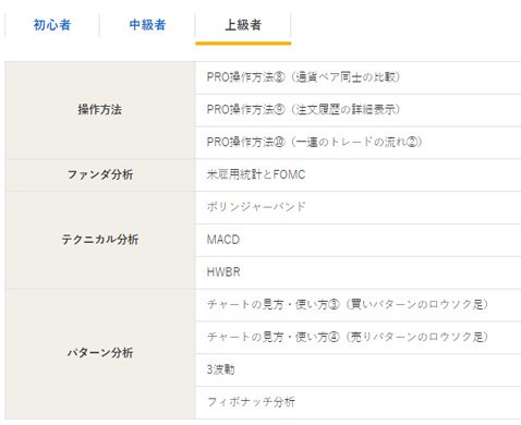 ひまわり証券・Lessonチョイス 上級者向け一覧