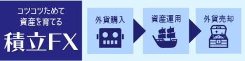 定期購入紹介画像