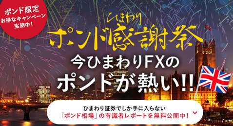 ひまわり証券・ポンド感謝祭