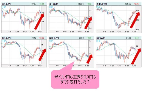 世界の通貨VS円 日足チャート