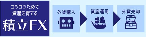 定期購入