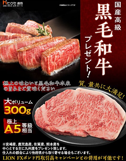 ヒロセ通商の「国産黒毛和牛プレゼント!」