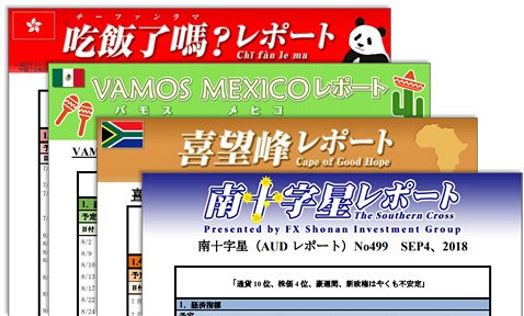 野村雅道氏の4種類のレポート