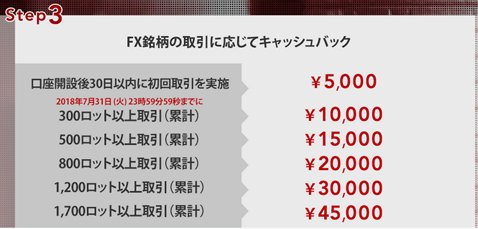 取引量に応じて最大4万5000円キャッシュバック