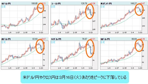 世界の通貨VS円 日足チャート
