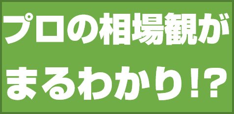 プロの相場観がまるわかり!?