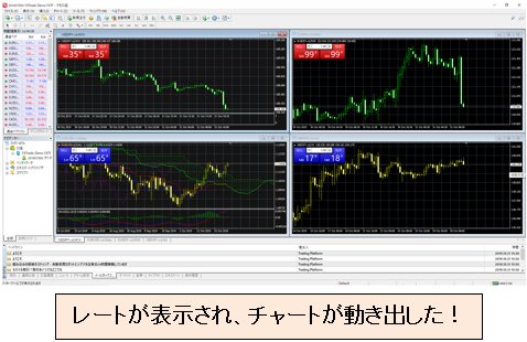メタトレーダー4(MT4)の起動に成功!画像