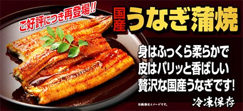 ヒロセ通商の国産うなぎ蒲焼とまんぷく中華プレゼント