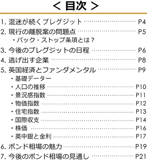 ひまわり証券の特別レポートの目次