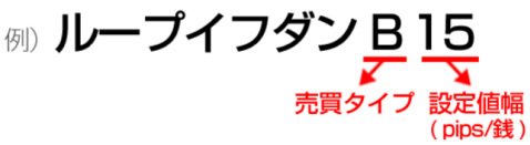 ループイフダンの見方