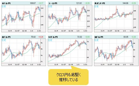世界の通貨ＶＳ円 日足チャート