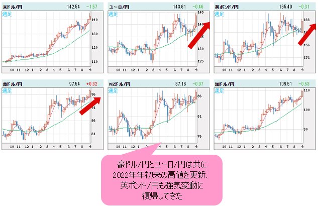 世界の通貨VS円 週足チャート