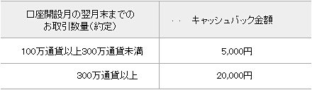 キャッシュバック条件