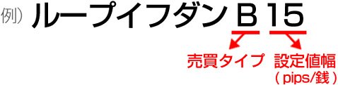 ループイフダンの見方