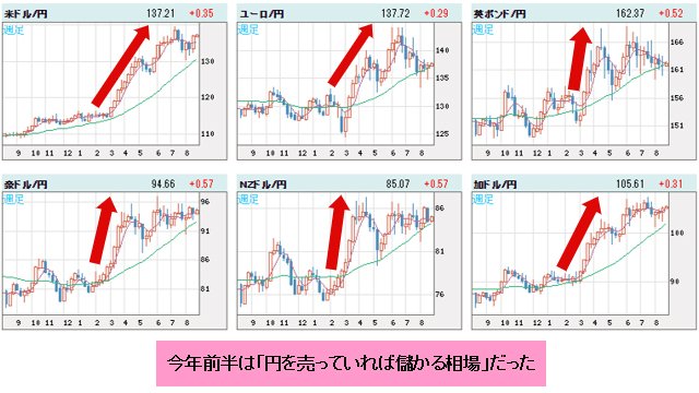 世界の通貨VS円 月足チャート