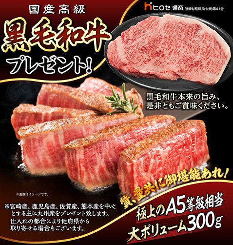 ヒロセ通商の国産高級黒毛和牛300gプレゼント