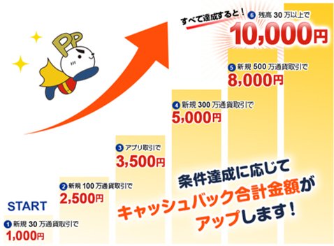 最大1万円キャッシュバックキャンペーンクリア条件