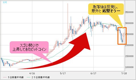 ビットコイン/円 日足