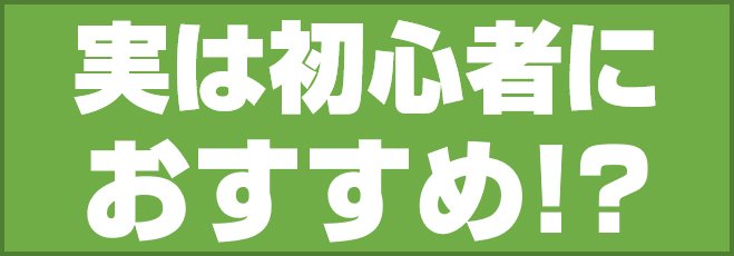 実は初心者におすすめ!?