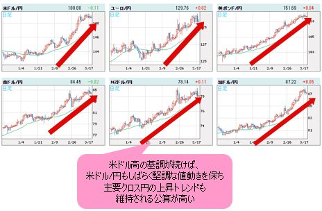 世界の通貨VS円 日足チャート