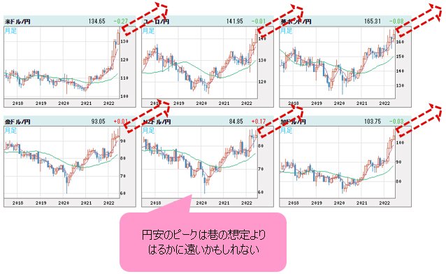 世界の通貨VS円 月足チャート