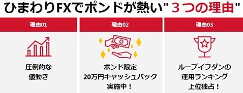 ひまわり証券でポンドが熱い理由