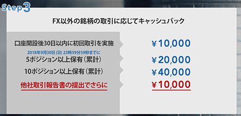 FX以外:ステップ3