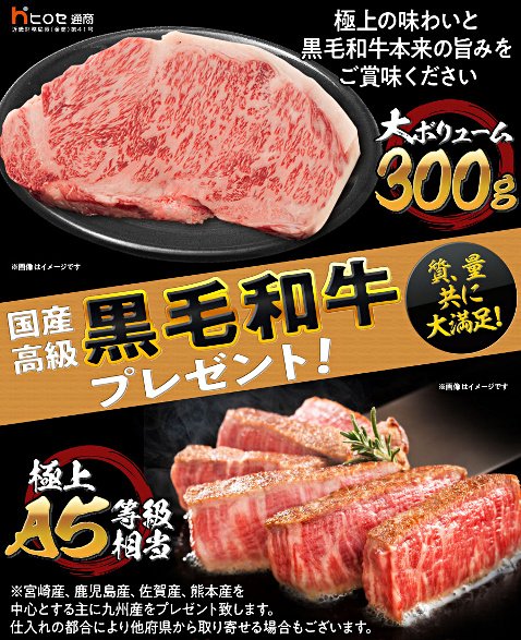 ヒロセ通商の「国産高級黒毛和牛300gプレゼント!」