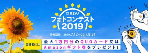 ひまわり証券「ひまわりフォトコンテスト」