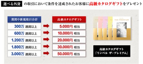 高級カタログギフトキャンペーンクリア条件