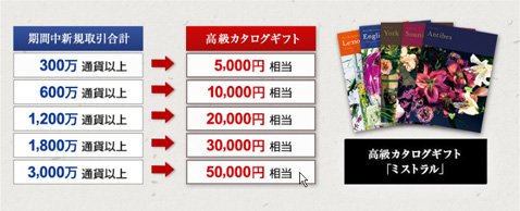 高級カタログギフトプレゼント条件