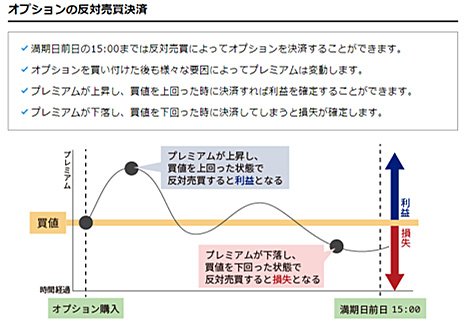 オプションの反対売買による決済の画像