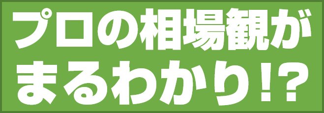 プロの相場観がまるわかり!?